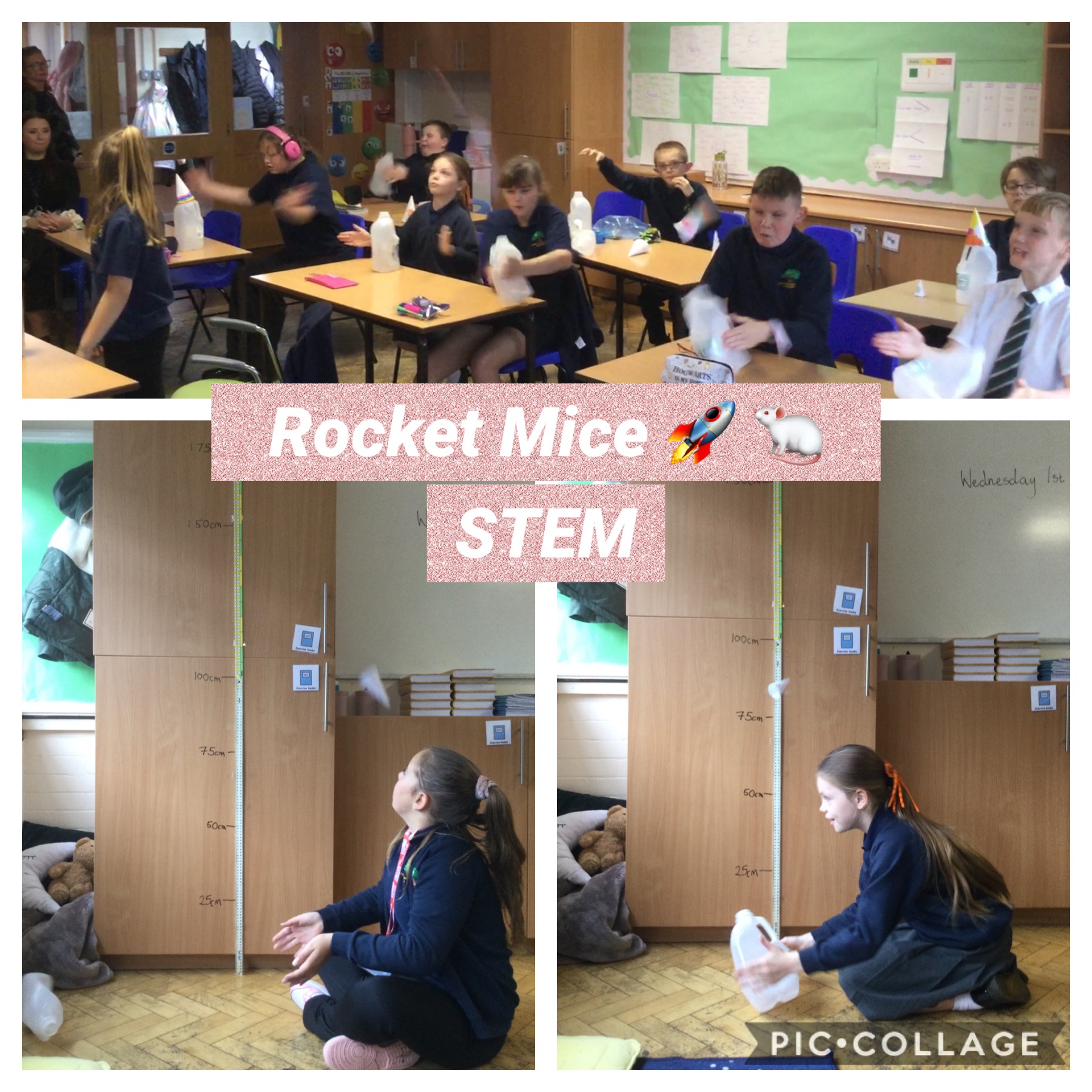 Image of Rocket Mice!